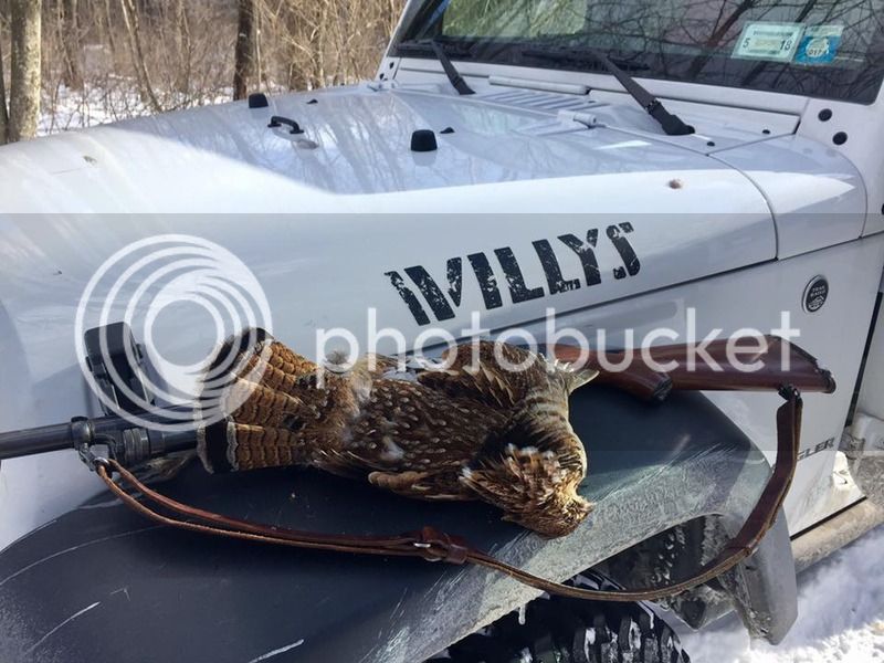 January%202017%20Grouse_zpsajnuzomv.jpg