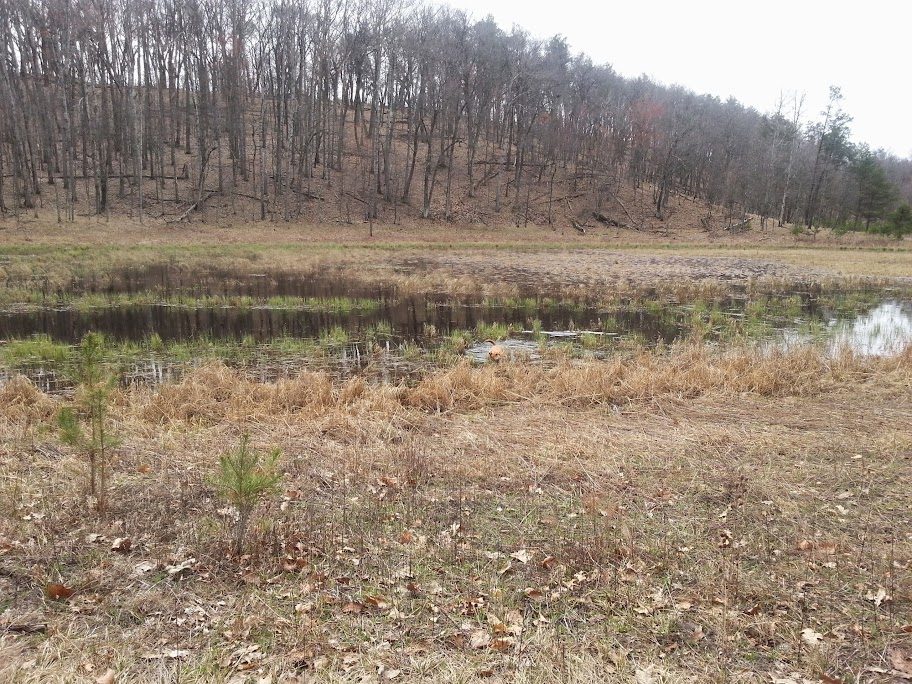 CameraZOOM-20140504101243940.jpg