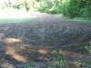 Oats and peas planted 2016-08-05 001.JPG