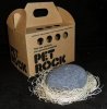 pet_rock.jpg.638x0_q80_crop-smart.jpg