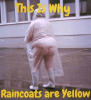 Why Raincoats are Yellow.png