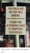 tent-poles-are-not-for-pole-dancing-please-find-alternative-57784702.png