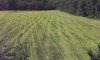 10-wheat-field.jpg