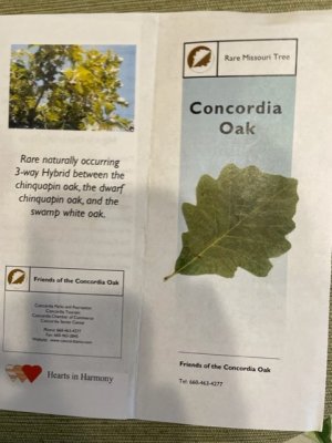 concordia oaks.jpg