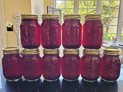 Beautyberry Elderberry Syrup.jpg