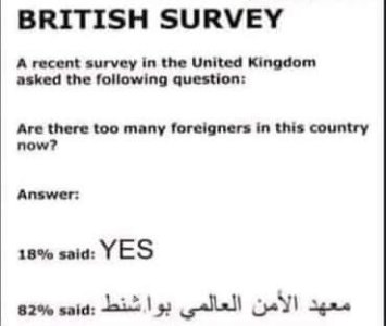 survey.jpeg