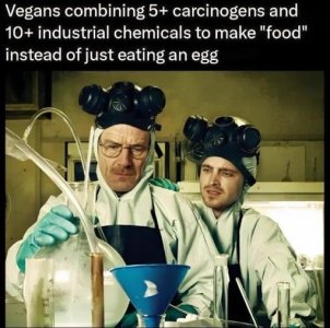 vegans-making-food-jpg.jpg
