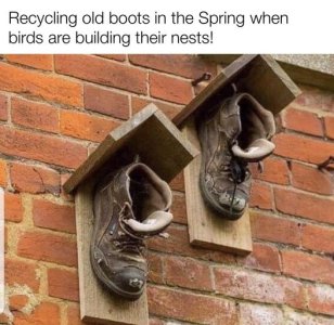 old boots.jpeg