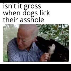 dog licking.jpeg