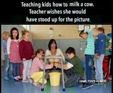 milking the cow.jpeg