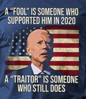 a fool and a traitor.jpeg