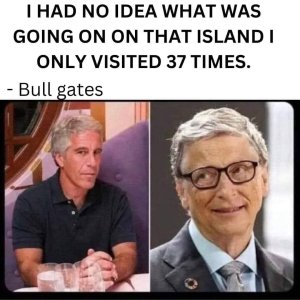 Bull Gates.jpeg