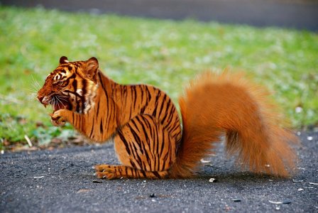 tiger_squirrel_by_fieldfabricbro_dbiihad-fullview.jpg