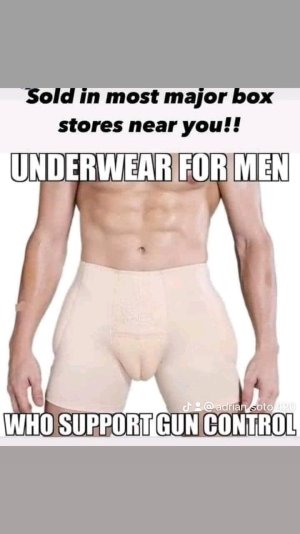 gun control underwear.jpeg