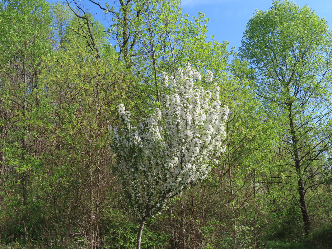 IMG-1725.jpg
