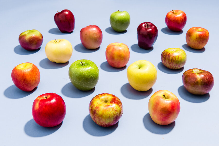 Sundowner (Cripps Red) Apple Review - Apple Rankings by The Appleist Brian  Frange