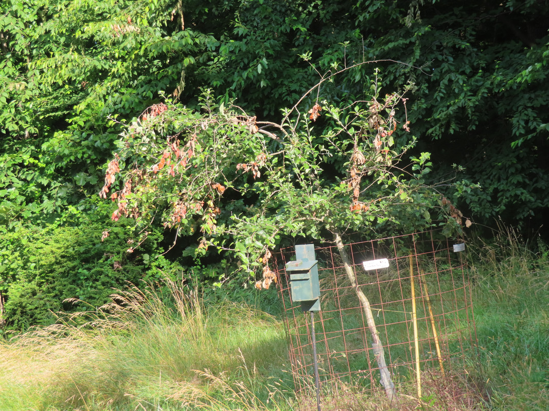 IMG-3024.jpg