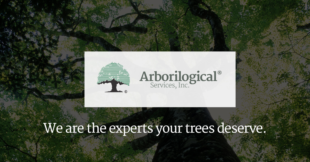 www.arborilogical.com