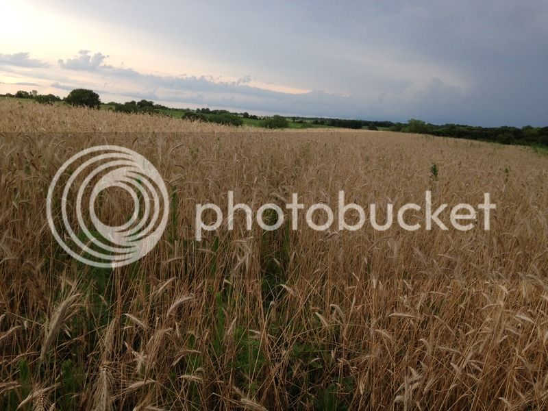 F64C2A37-58DD-4318-82E4-F13EDF9F9539.jpg