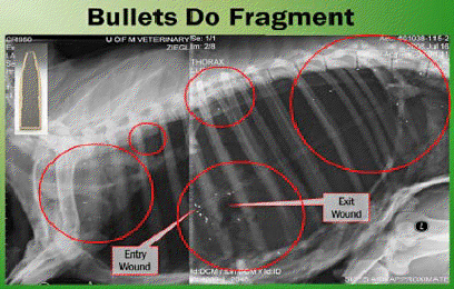 Fragmenting-Lead-Bullets2.jpg