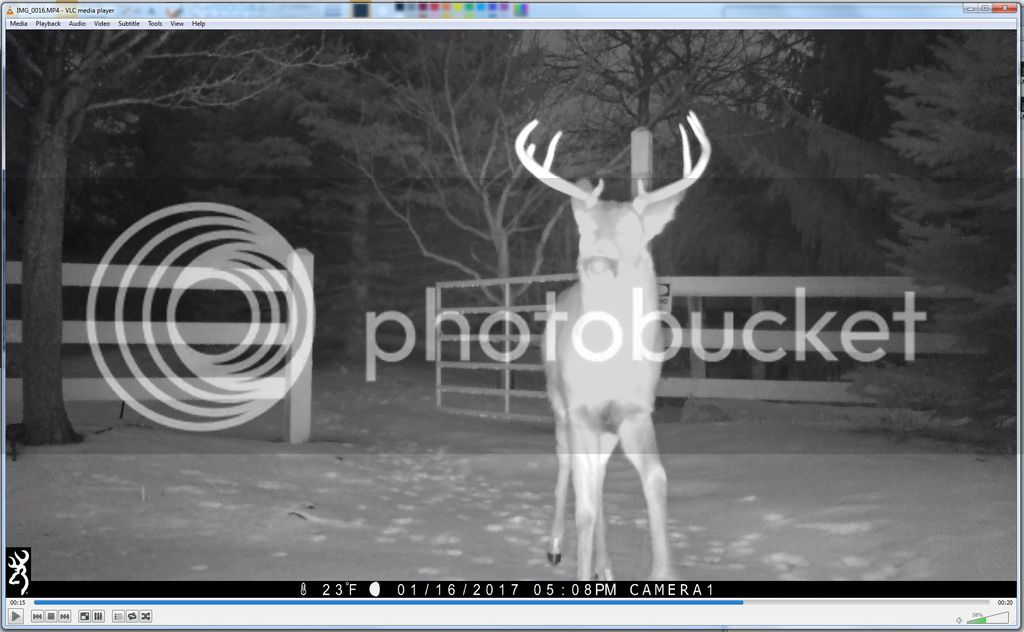 buck%2001-17-17.png_zpssimsv77y.jpg