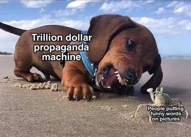 c4276d696ec5444611f9a08858be1147.jpg
