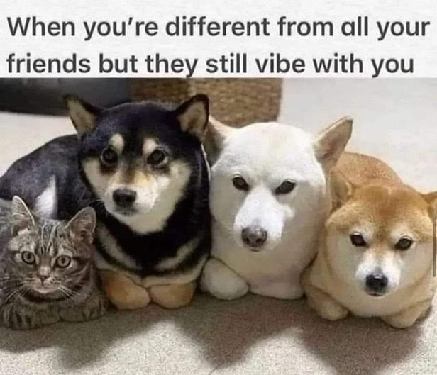 c17e474b9679a20a1b48e9e83e13ce19.jpg