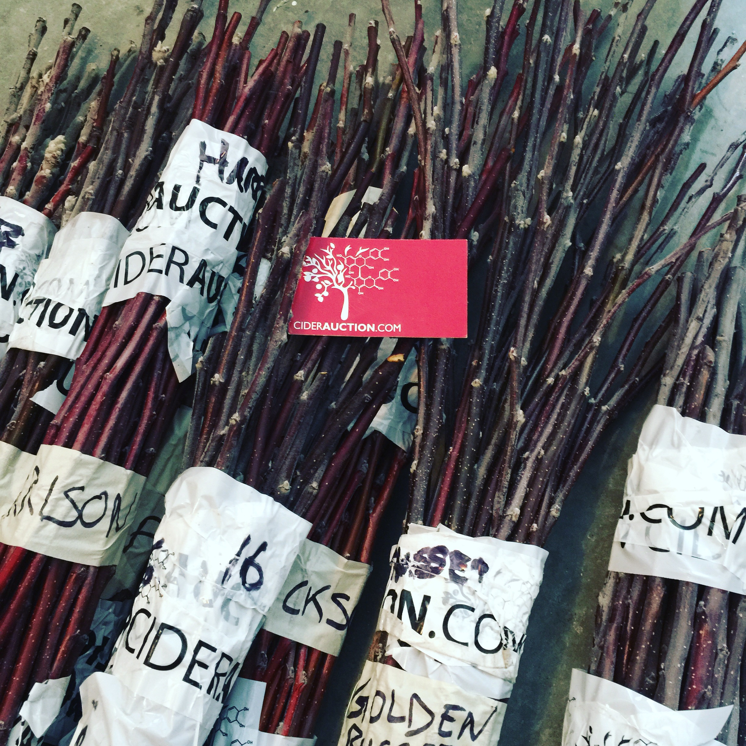 ciderauction.com