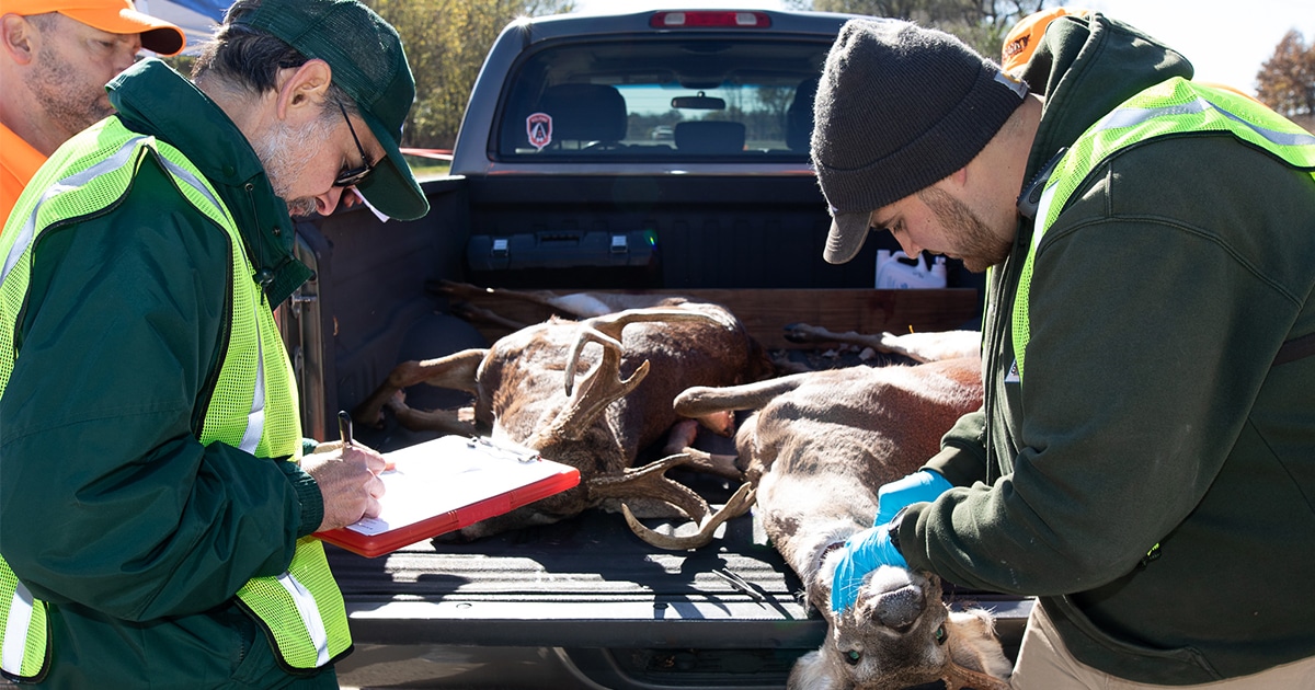 deerassociation.com