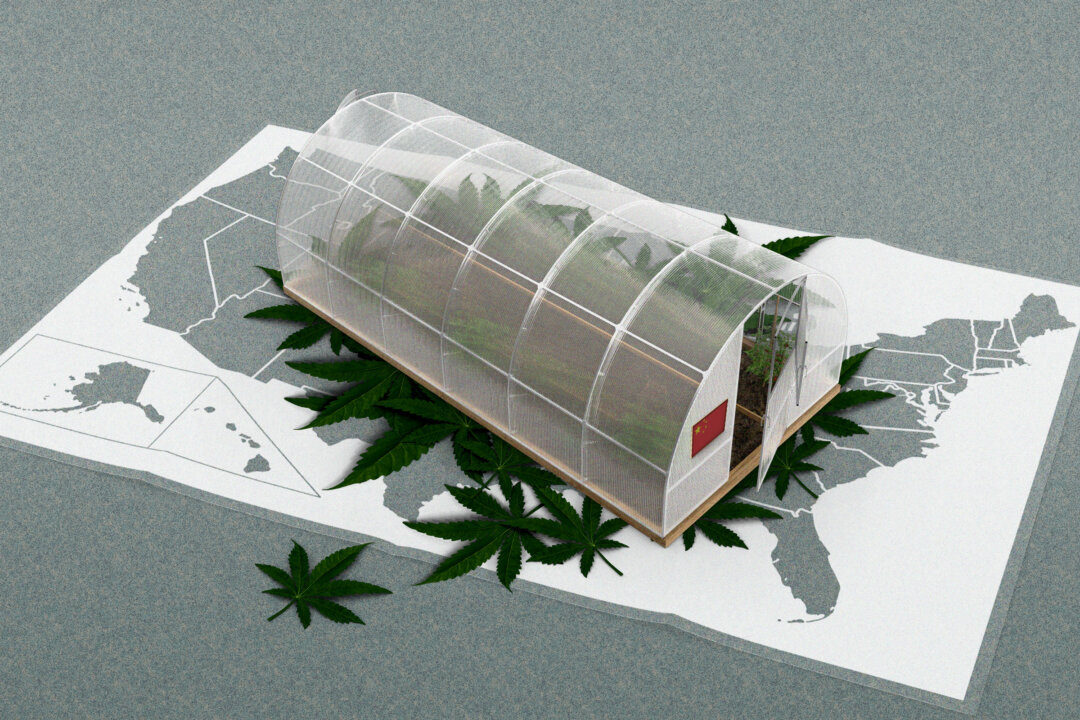 link.theepochtimes.com