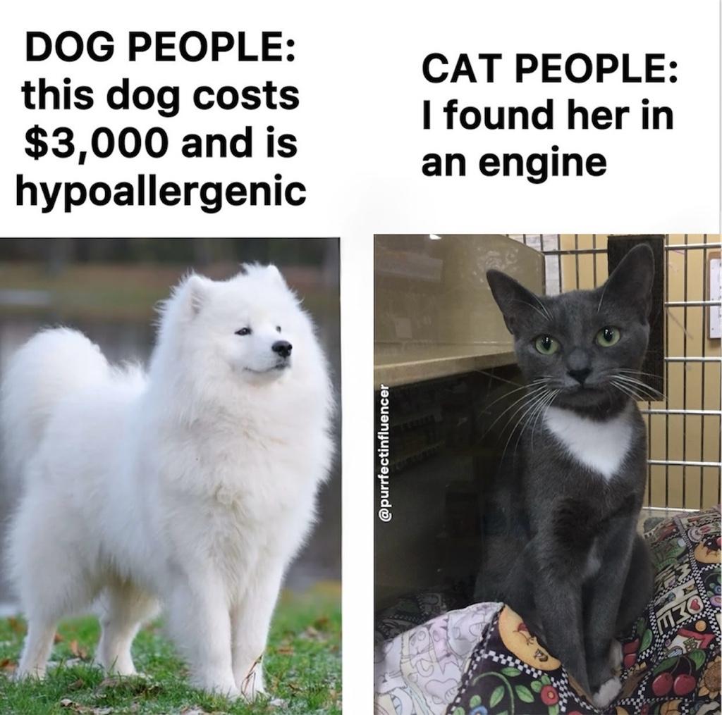 4c9d625b4f1491e45e387ad0ba228d9f.jpg