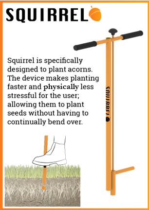 www.nutplanter.com