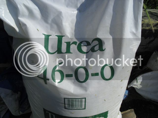 Urea.jpg