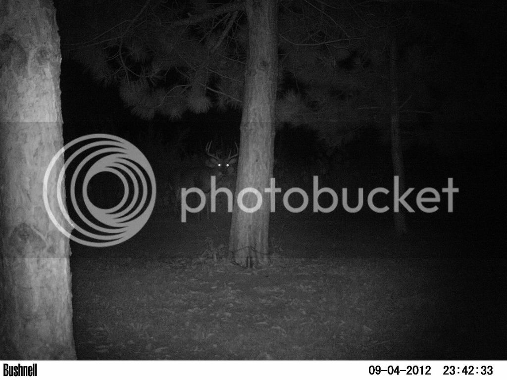 PICT0068_zpsomz3kro3.jpg