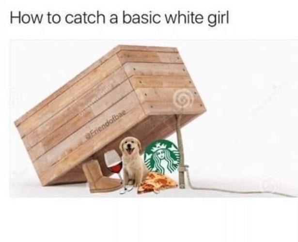 608ca9eb5b7426194cf27f16ce29b352.jpg