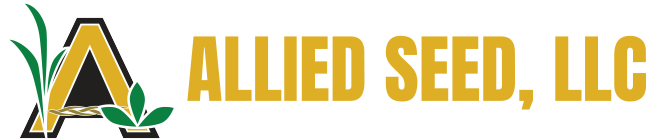 www.alliedseed.com