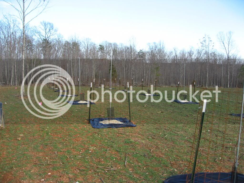 IMG_0808_zps46d0ba3b.jpg
