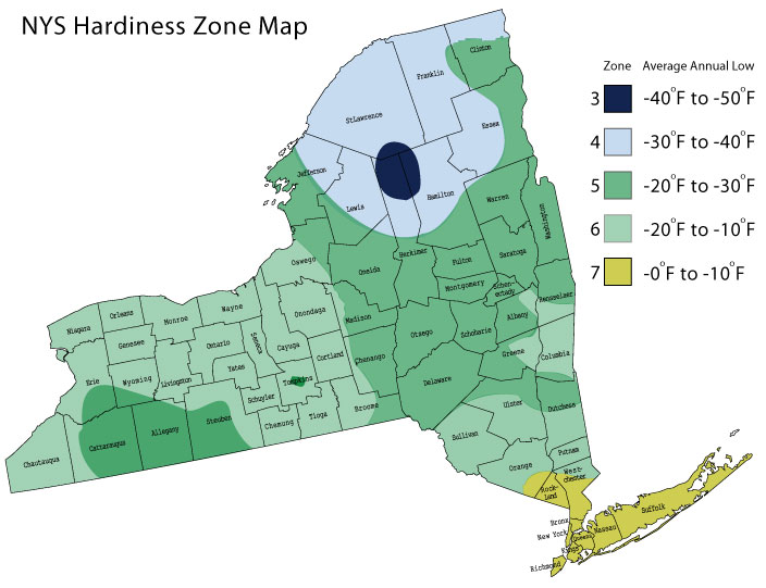 NYS_Hardiness_zones1.jpg