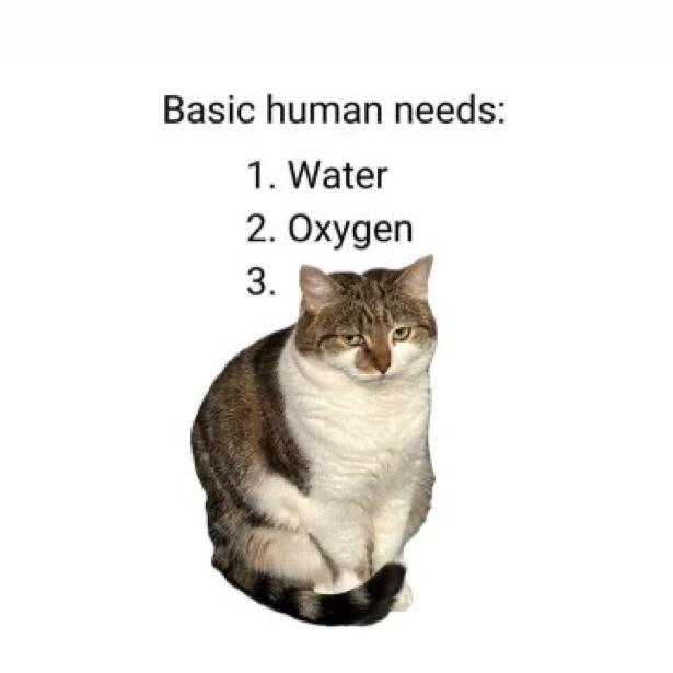 37f96038e43d0896ad4c70880b0d1bf2.jpg