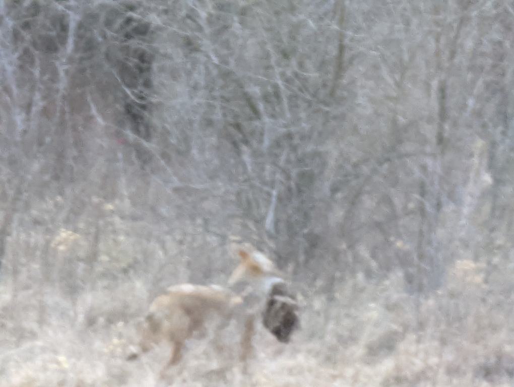 0354edf20abf4cfb3c1a5e2d86b31513.jpg