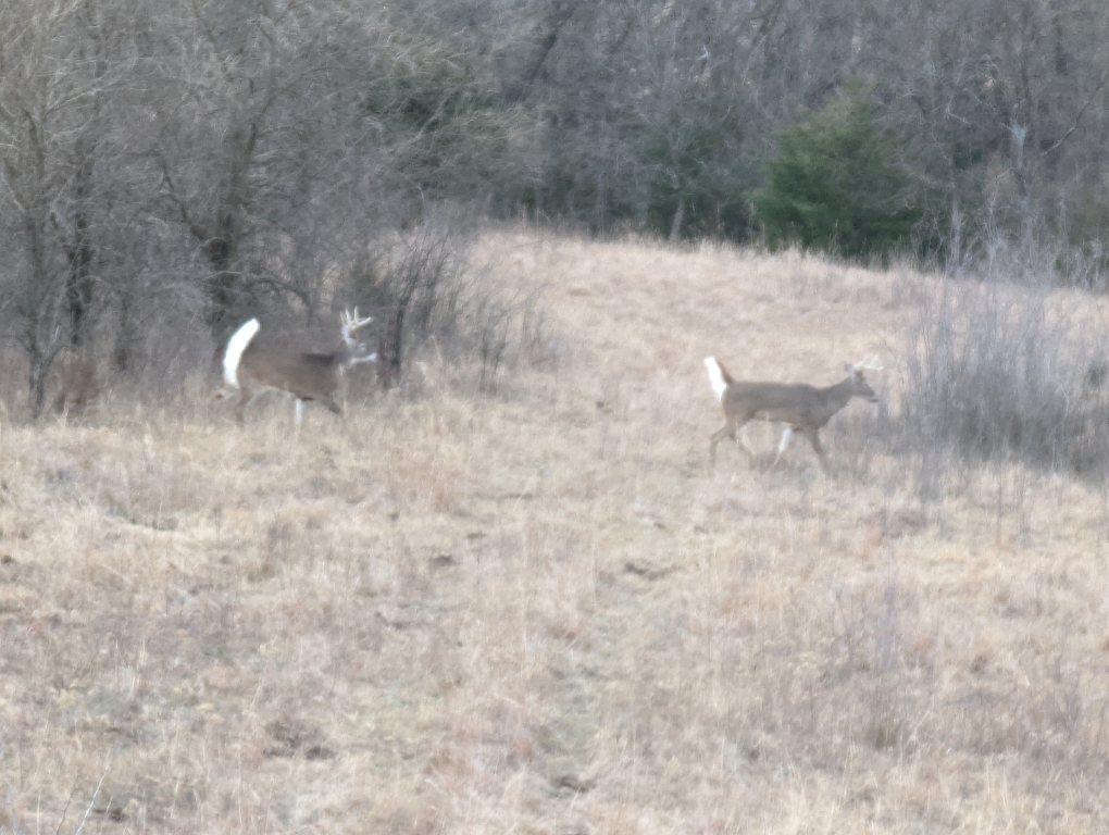 bfe0966d50b3402234ebfc465cc032eb.jpg