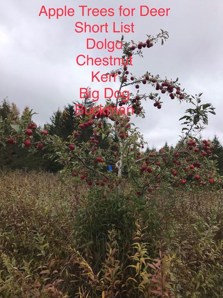 d000b78265f589f175b5dcd6e7b7bb77.jpg
