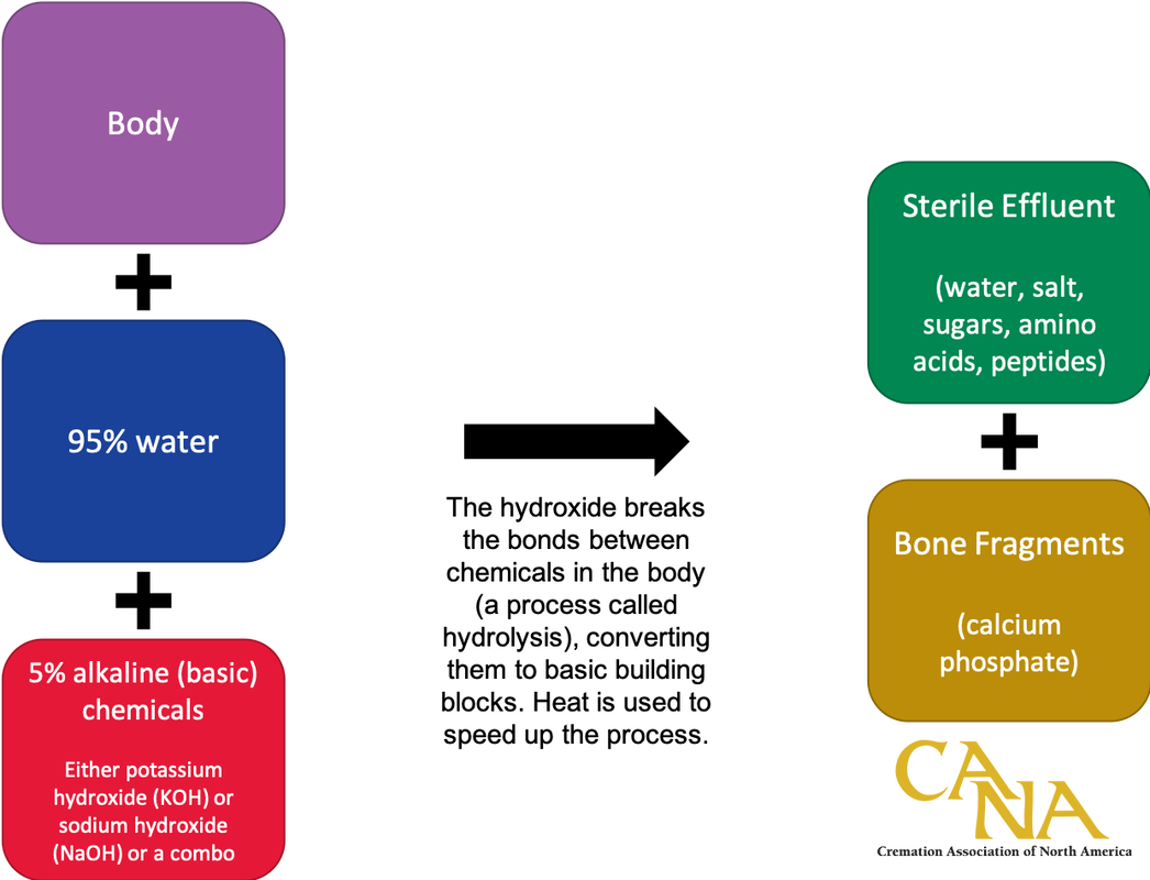 www.cremationassociation.org