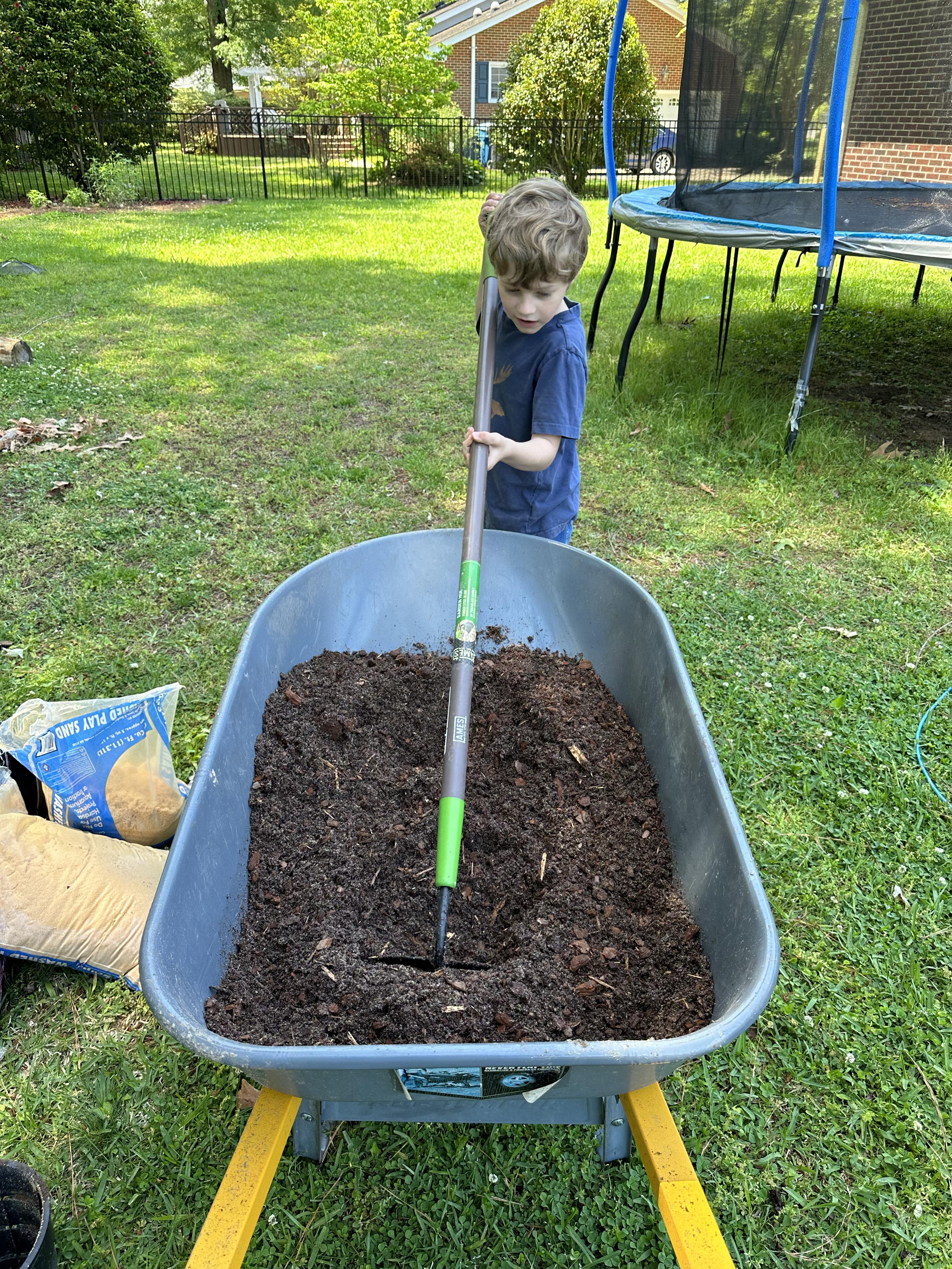 Oak tree from acorns?  All Things Habitat - Lets talk..