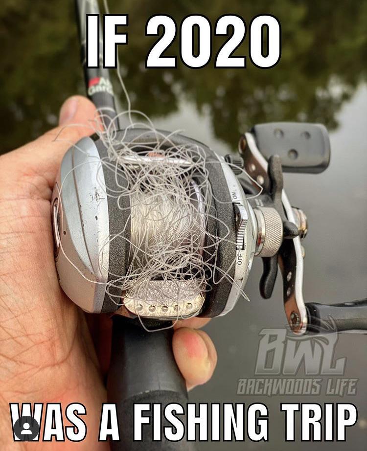 0ce0f584731bab6491537d3ec547aab6.jpg