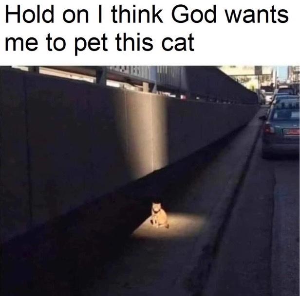 9975e8e190780f225870f06a63059c52.jpg