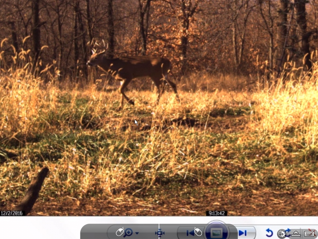 e64a504562aad98dcd5cf29122c563b9.jpg