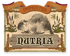 nutria.com