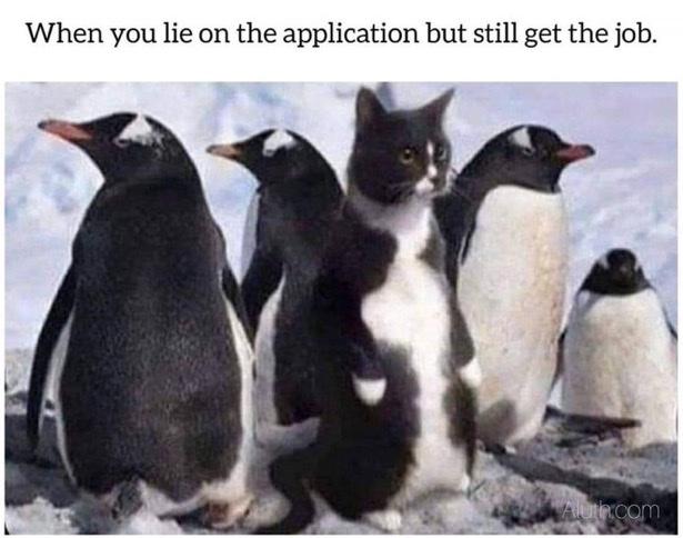 44a08e6948abf513e0d386c3592ce980.jpg