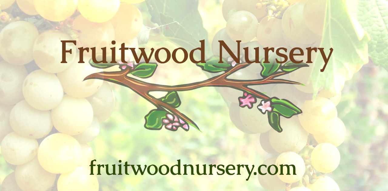 fruitwoodnursery.com